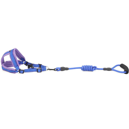 Pet Supplies: Mesh Dog Harness and Leash Set