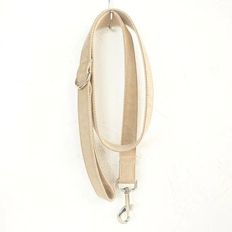 EcoChic Teddy Dog Leash