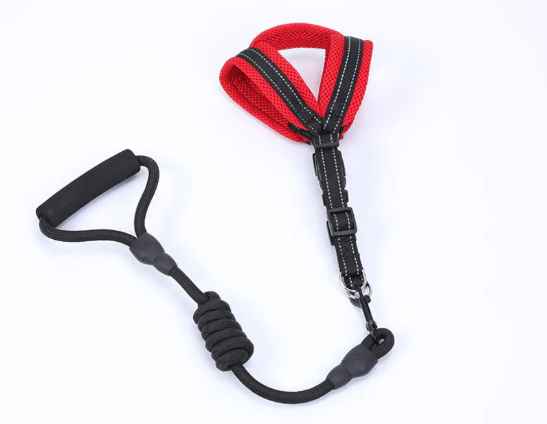 Pet Supplies: Mesh Dog Harness and Leash Set