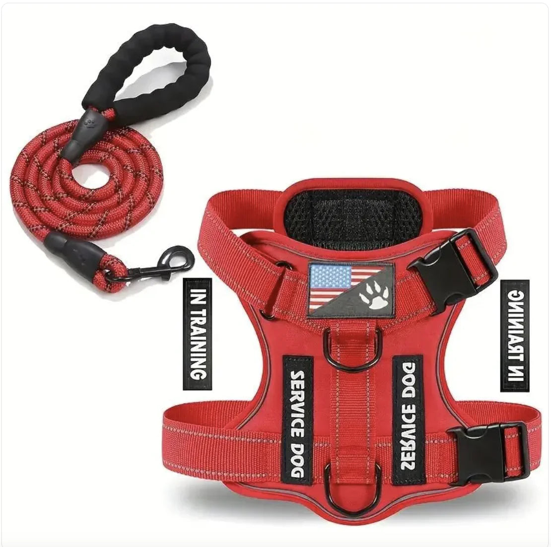 Adjustable Dog Harness & Leash Set