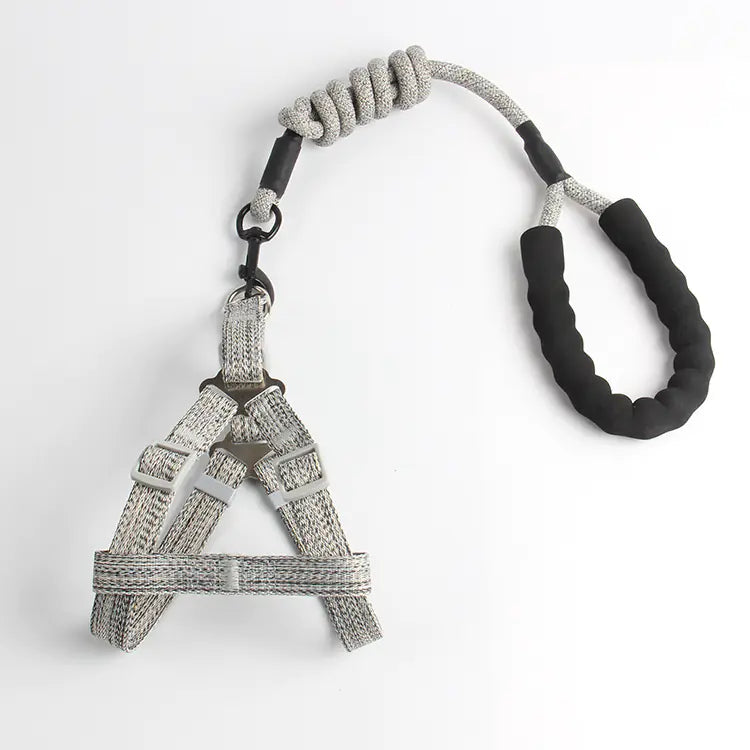 Pet Leash and Harness Set for Small Dogs