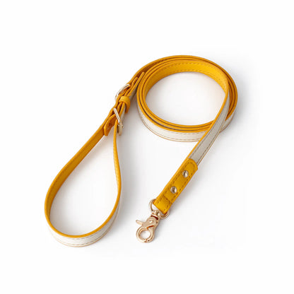 Elegant Multi-Purpose Leather Dog Leash