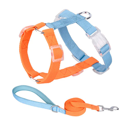 Color-Coded Anti-Breakaway Pet Leash and Chest Strap