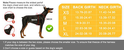 Adjustable Dog Harness & Leash Set