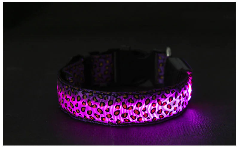 LED Anti-Lost Pet Collar with Leash