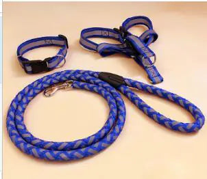 NightGlow Dog Leash Set