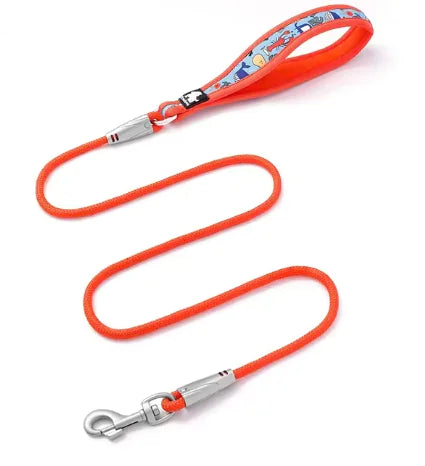 PawfectMatch Colorful Dog Leash