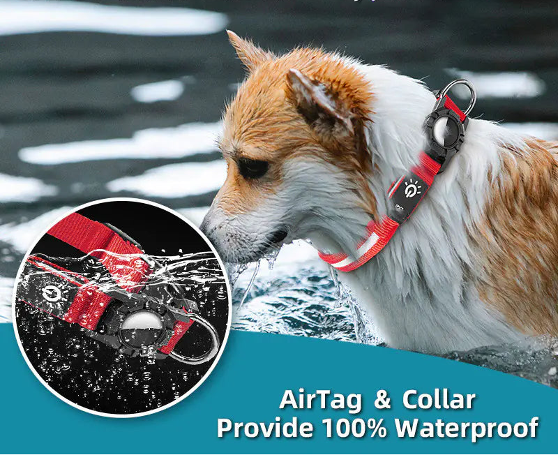 Waterproof Pet AirTag Collar