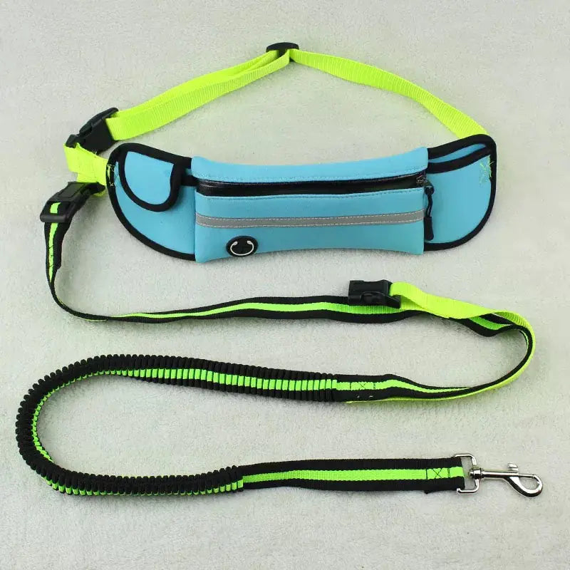 Pet Leash Waist Bag - Multi-Functional Dog Training Bag