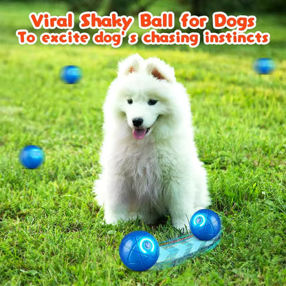 Rechargeable Vibrating Dog Play Ball - 2 Pack