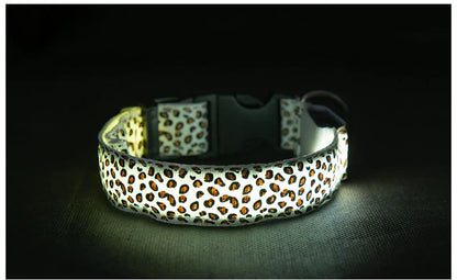 LED Anti-Lost Pet Collar with Leash