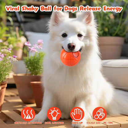 Rechargeable Vibrating Dog Play Ball - 2 Pack