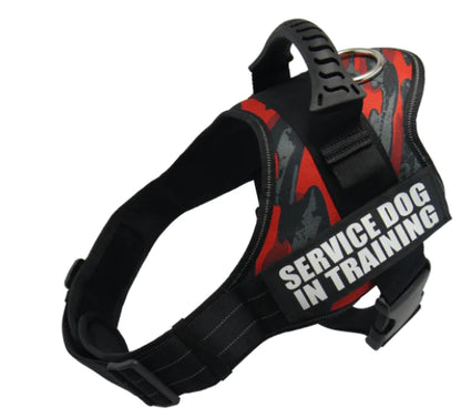 Reflective Pet Harness Leash Set
