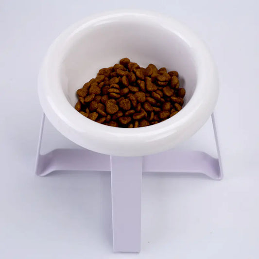 Creative Antislip Cat Feeding Bowl with Iron Stand