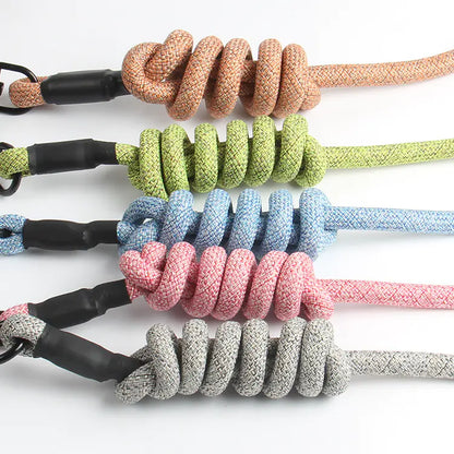 Pet Leash and Harness Set for Small Dogs