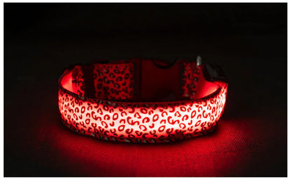 LED Anti-Lost Pet Collar with Leash