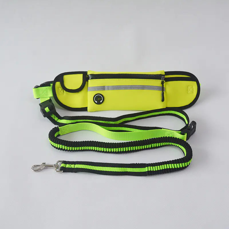 Pet Leash Waist Bag - Multi-Functional Dog Training Bag