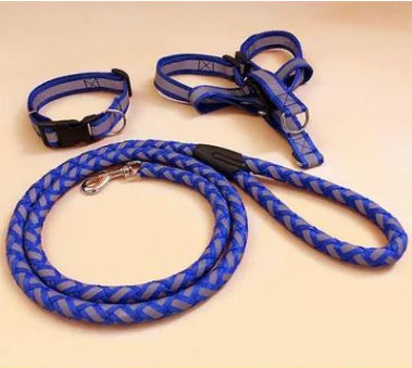 NightGlow Dog Leash Set