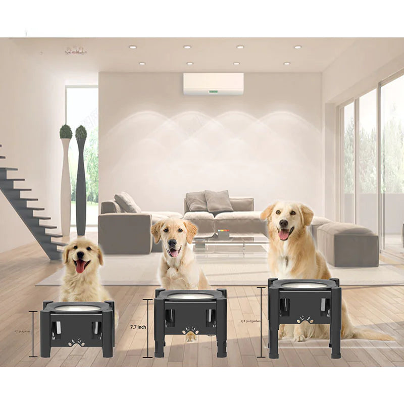 Pet Water Bowl with Slow Feeding Design and Adjustable Height