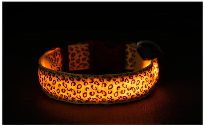 LED Anti-Lost Pet Collar with Leash