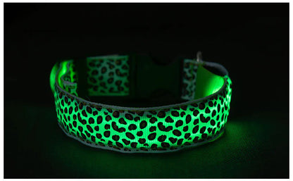 LED Anti-Lost Pet Collar with Leash