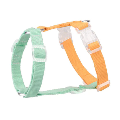 Color-Coded Anti-Breakaway Pet Leash and Chest Strap