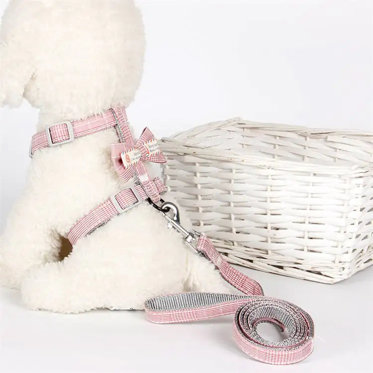 Simple Lattice Bow Design Pet Leash
