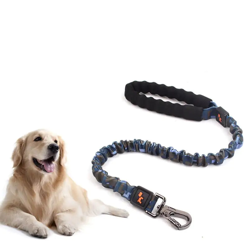 Big Pup Flexi-Leash