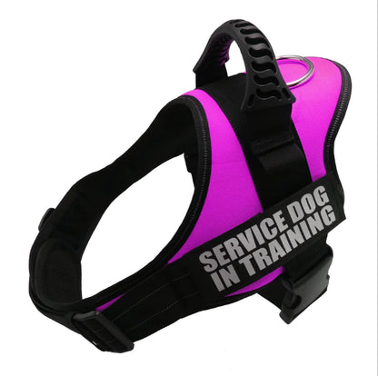 Reflective Pet Harness Leash Set