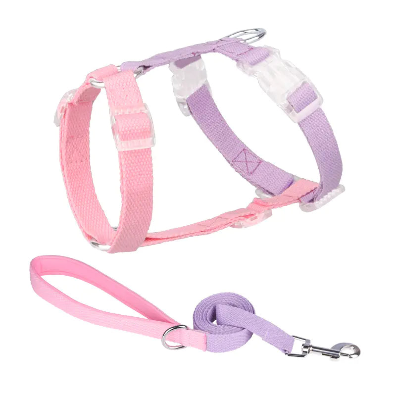 Color-Coded Anti-Breakaway Pet Leash and Chest Strap