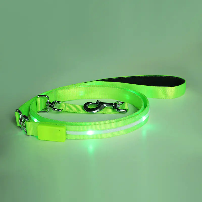 Luminous LED USB Charging Pet Leash