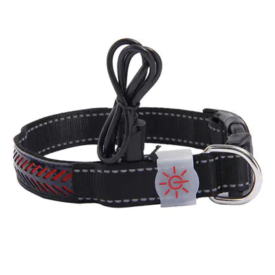 LED Light-Up Pet Collar