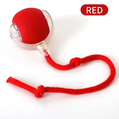 PetChase AutoRoll Smart Ball