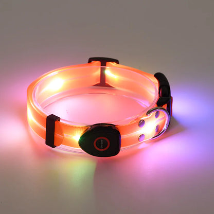 LED Rechargeable Pet Collar