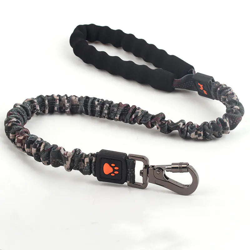 Big Pup Flexi-Leash