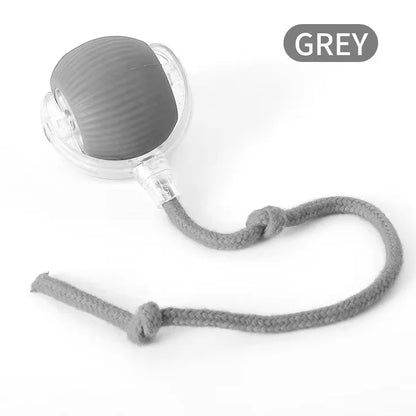 PetChase AutoRoll Smart Ball