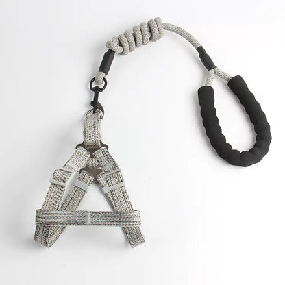 Pet Leash and Harness Set for Small Dogs