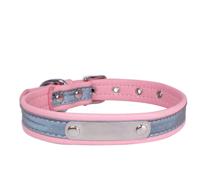 Stainless Steel Pet Collar with Comfort Nylon Leash