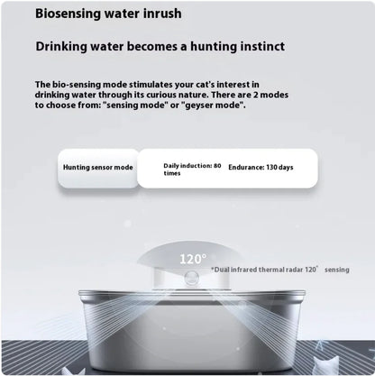 Stainless Steel Automatic Pet Water Dispenser