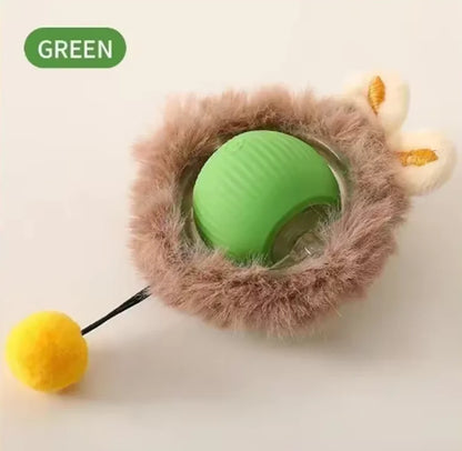 PetChase AutoRoll Smart Ball