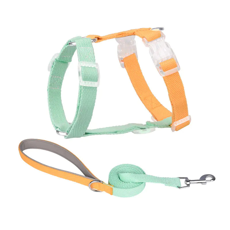 Color-Coded Anti-Breakaway Pet Leash and Chest Strap
