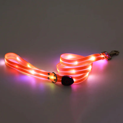 LED Rechargeable Pet Collar