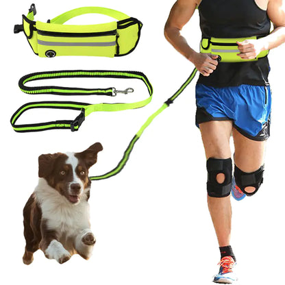 Pet Leash Waist Bag - Multi-Functional Dog Training Bag