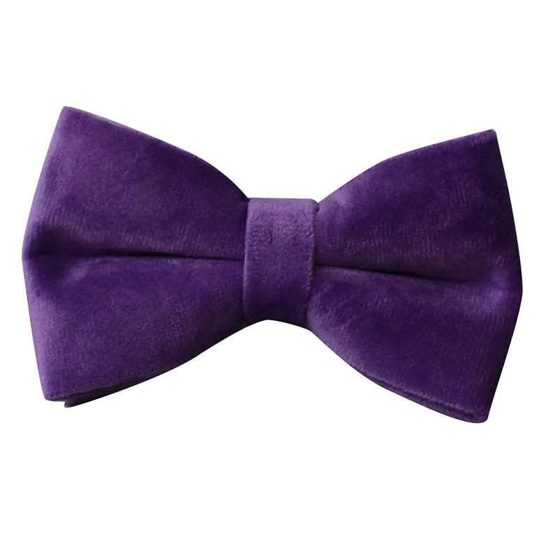 Alloy Carabiner Dog Leash and Pet Collar Combo