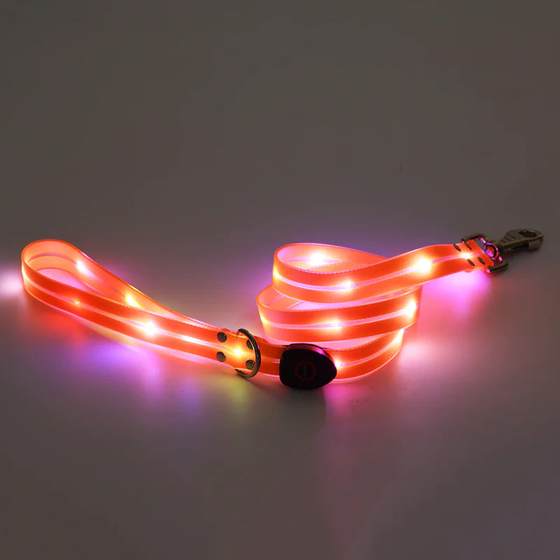 LED Rechargeable Pet Collar