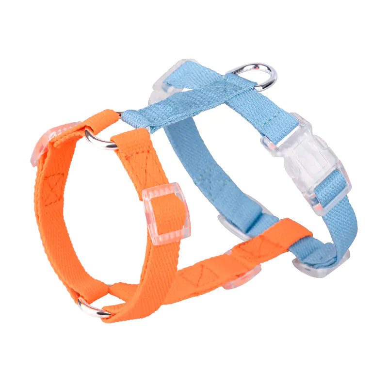 Color-Coded Anti-Breakaway Pet Leash and Chest Strap