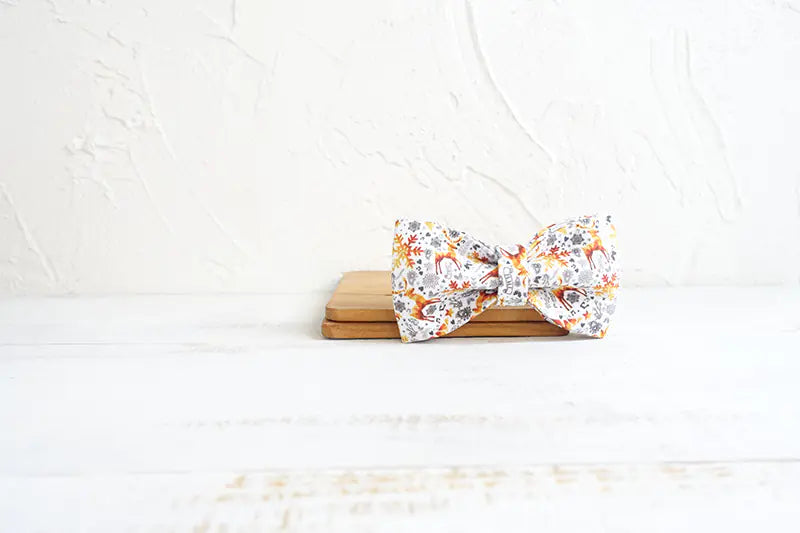 Holiday Hound Collar & Leash Set