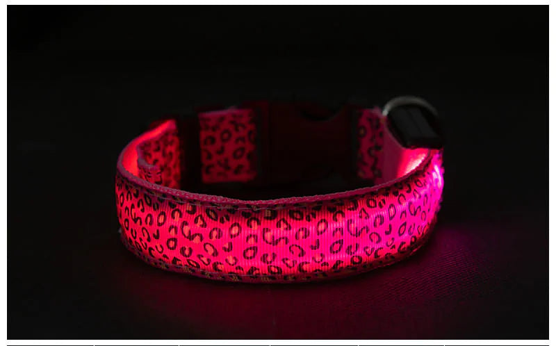 LED Anti-Lost Pet Collar with Leash