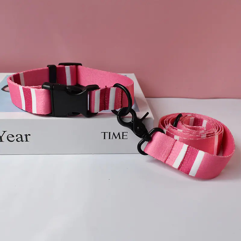 Ethnic Style Webbing Printed Pet Collar and Leash