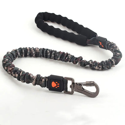 Big Pup Flexi-Leash